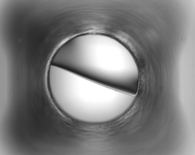 X0000098191375200804241042
