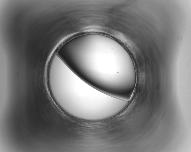 X0000098191376200804241042