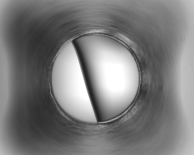 X0000098191377200804241042