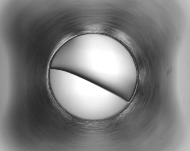 X0000098191378200804241042