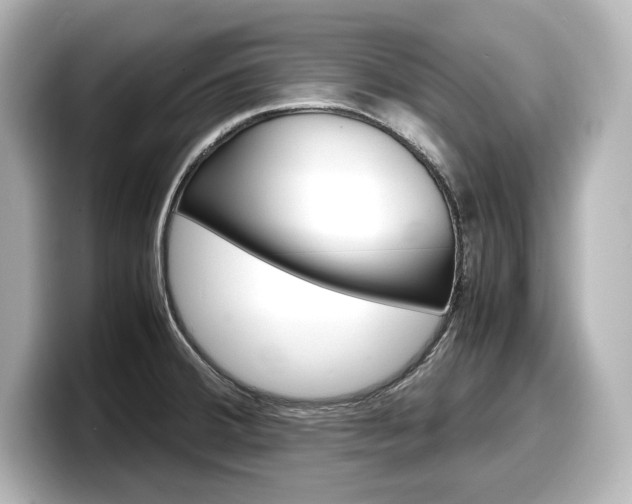 X0000098191380200804241042