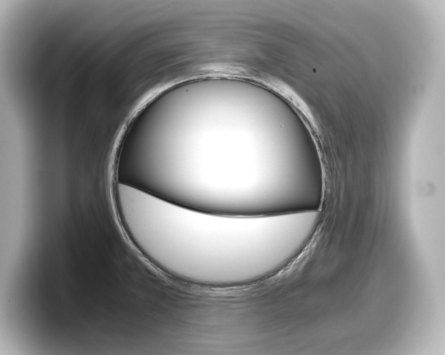 X0000098191381200804241042