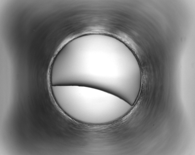 X0000098191382200804241042