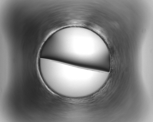 X0000098191383200804241042