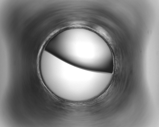 X0000098191384200804241042