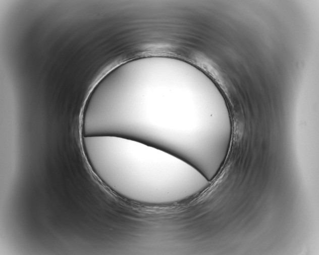 X0000098191386200804241042