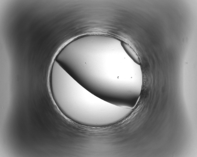 X0000098191387200804241042