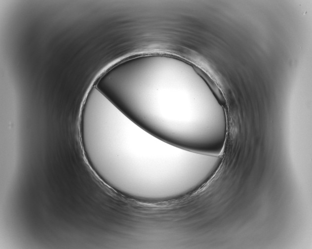 X0000098191388200804241042