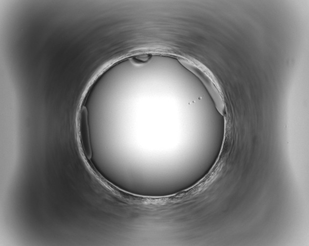 X0000098191389200804241042