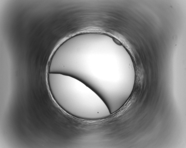 X0000098191390200804241042