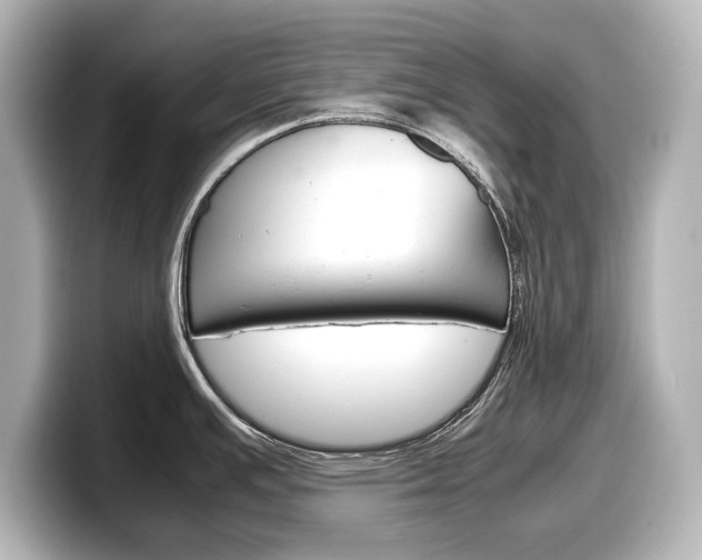 X0000098191391200804241042