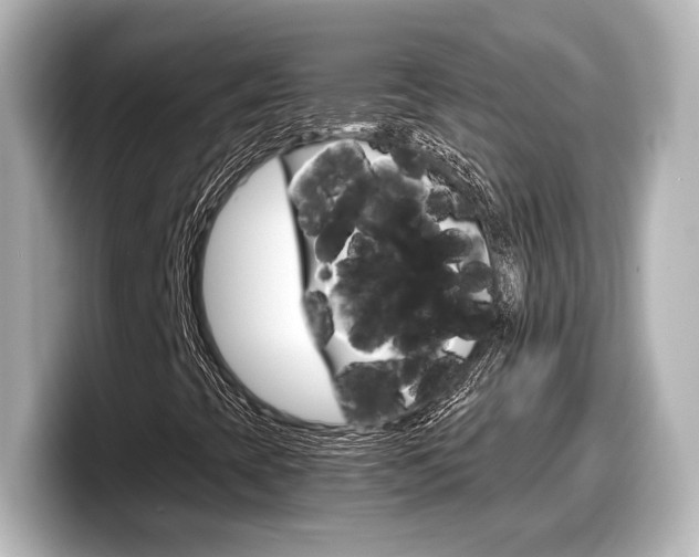 X0000098191393200804241041
