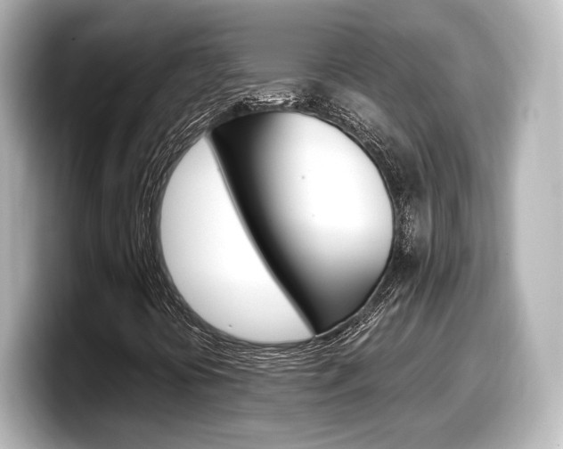X0000098191394200804241041