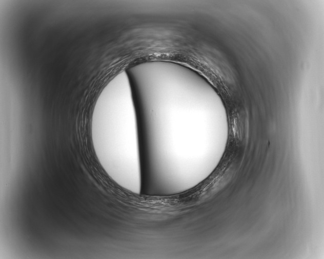 X0000098191396200804241041