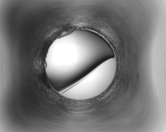 X0000098191398200804241041