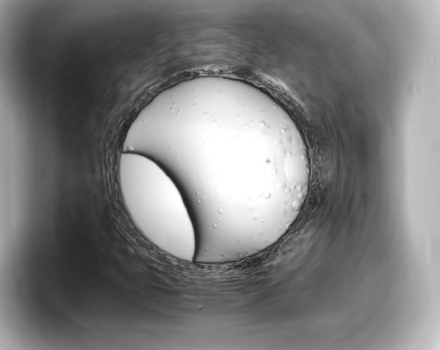 X0000098191399200804241041