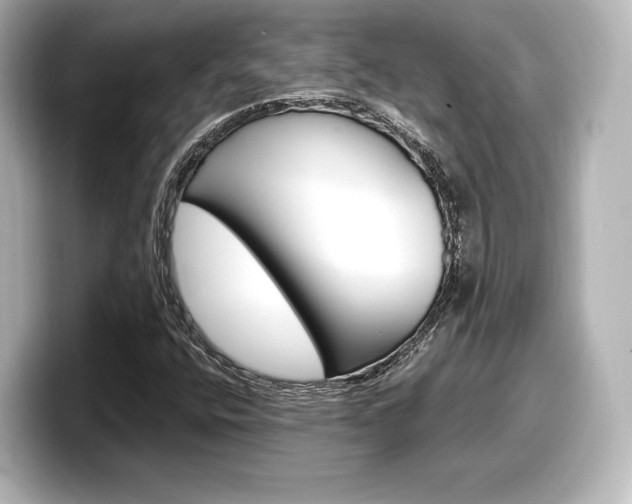 X0000098191400200804241041