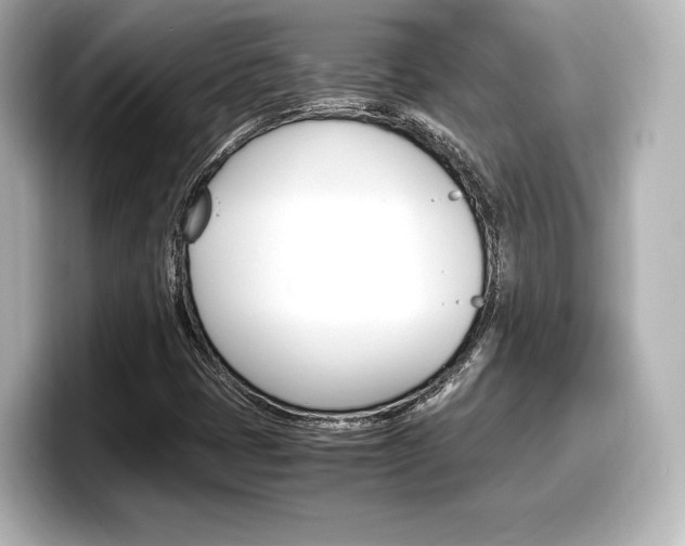X0000098191401200804241041