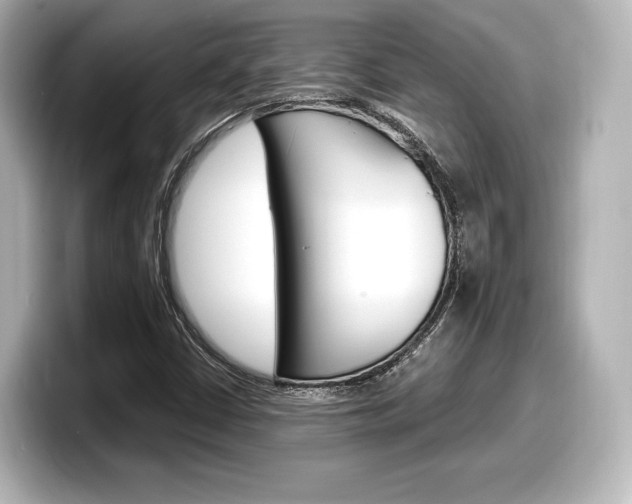 X0000098191402200804241041