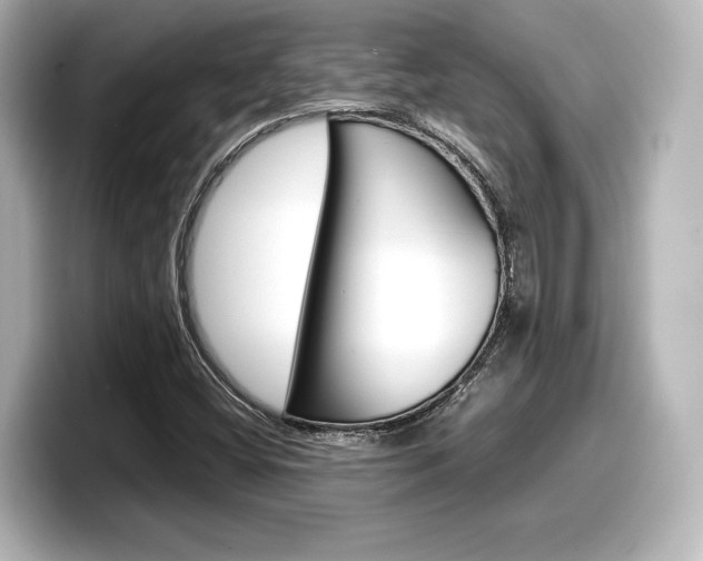 X0000098191404200804241041