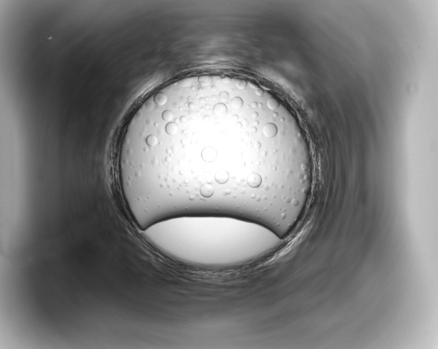 X0000098191405200804241041