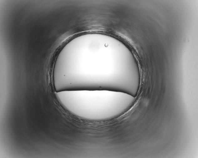 X0000098191407200804241041