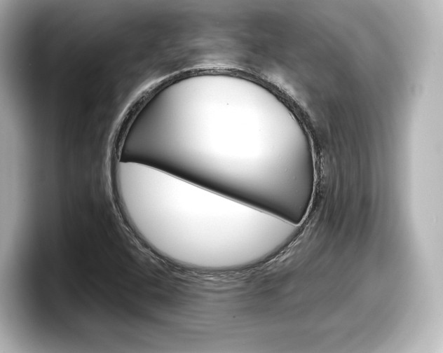 X0000098191408200804241041