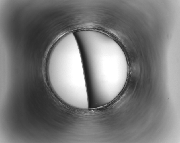 X0000098191410200804241041