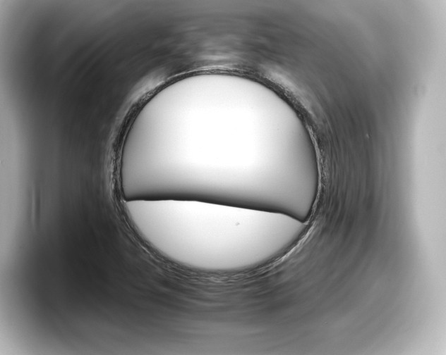 X0000098191411200804241041