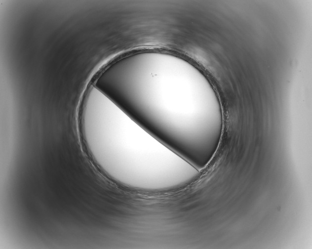 X0000098191412200804241041