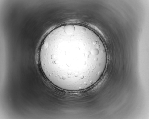X0000098191413200804241041