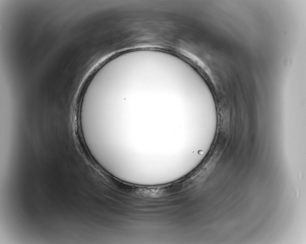 X0000098191415200804241041