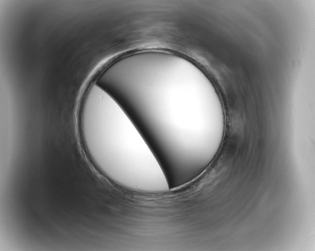 X0000098191416200804241041