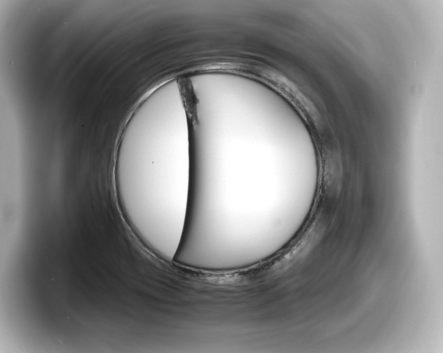 X0000098191417200804241041