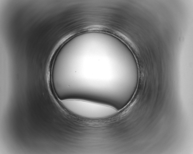X0000098191418200804241041