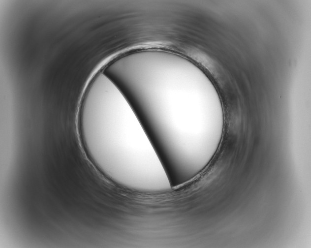 X0000098191420200804241041