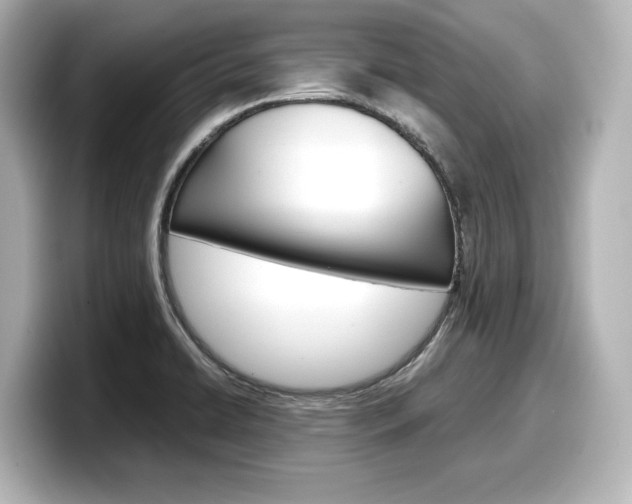 X0000098191422200804241041
