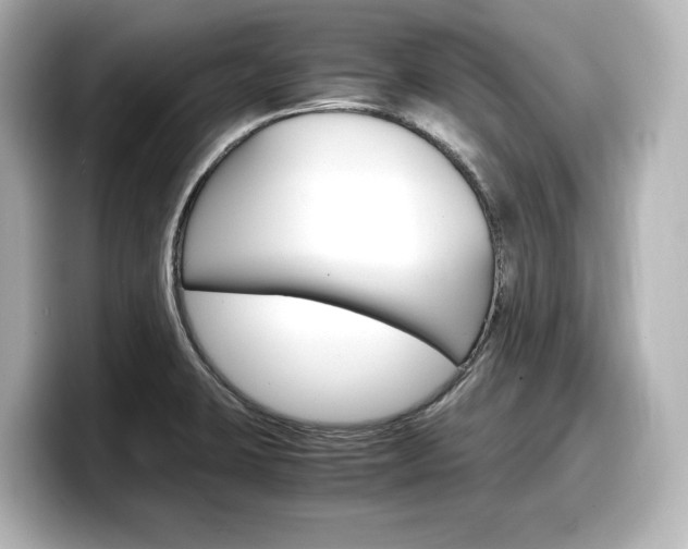 X0000098191423200804241042