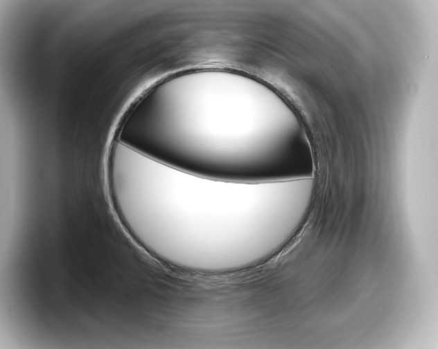 X0000098191424200804241042