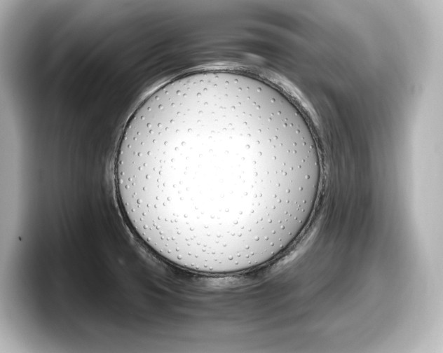 X0000098191425200804241042