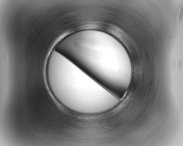 X0000098191426200804241042