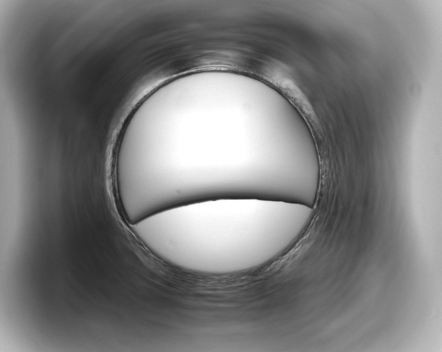 X0000098191427200804241042