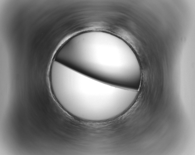 X0000098191428200804241042