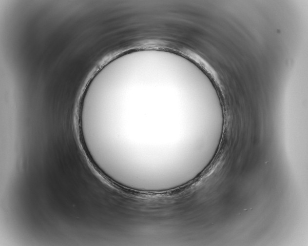 X0000098191429200804241042