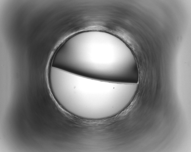 X0000098191430200804241042
