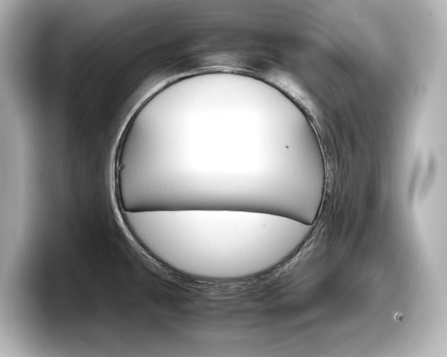 X0000098191431200804241042
