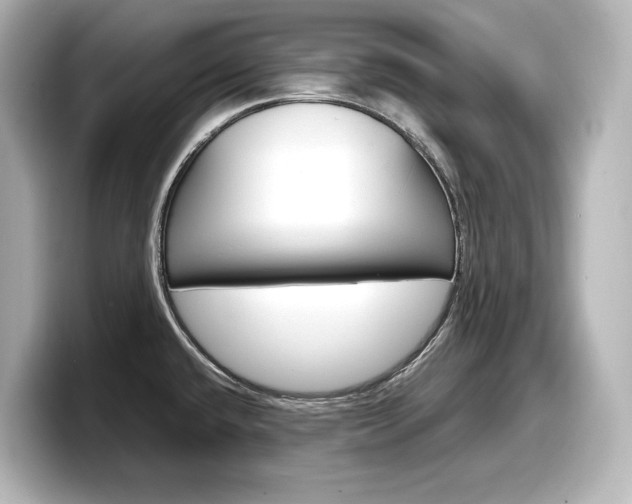 X0000098191432200804241042