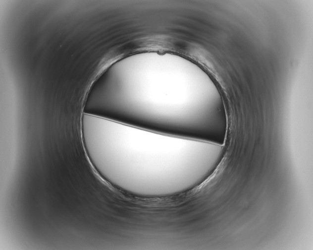 X0000098191433200804241042