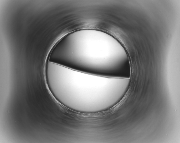 X0000098191434200804241042
