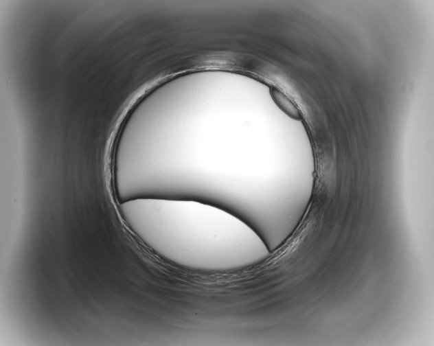 X0000098191435200804241042